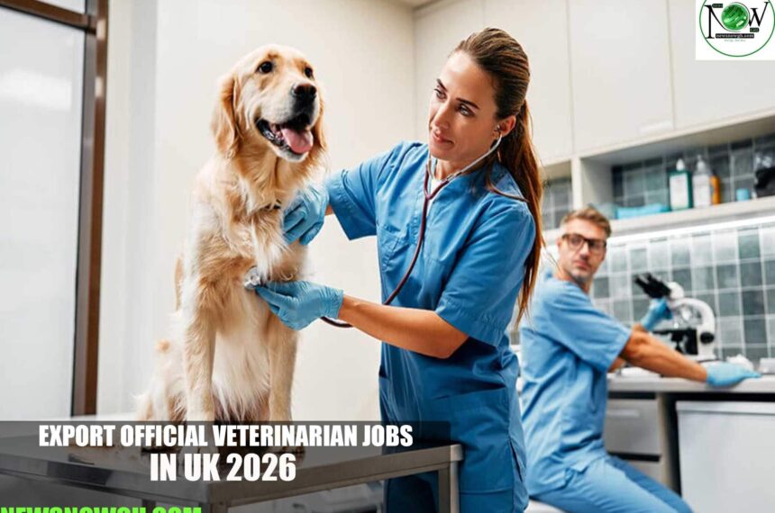 Export Official Veterinarian Jobs in UK 2026