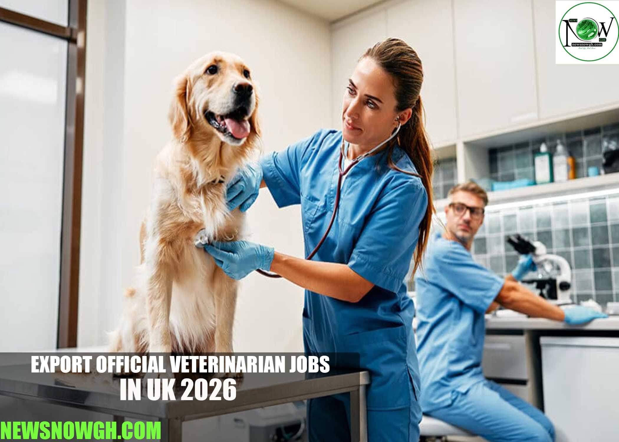 Export Official Veterinarian Jobs in UK 2026