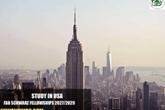 FAO Schwarz Fellowships