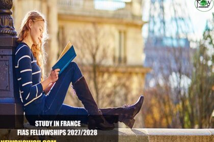 FIAS Fellowships 2027/2028