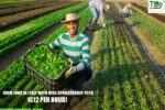 Farm Jobs in Italy with Visa Sponsorship 2026