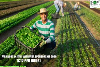 Farm Jobs in Italy with Visa Sponsorship 2026