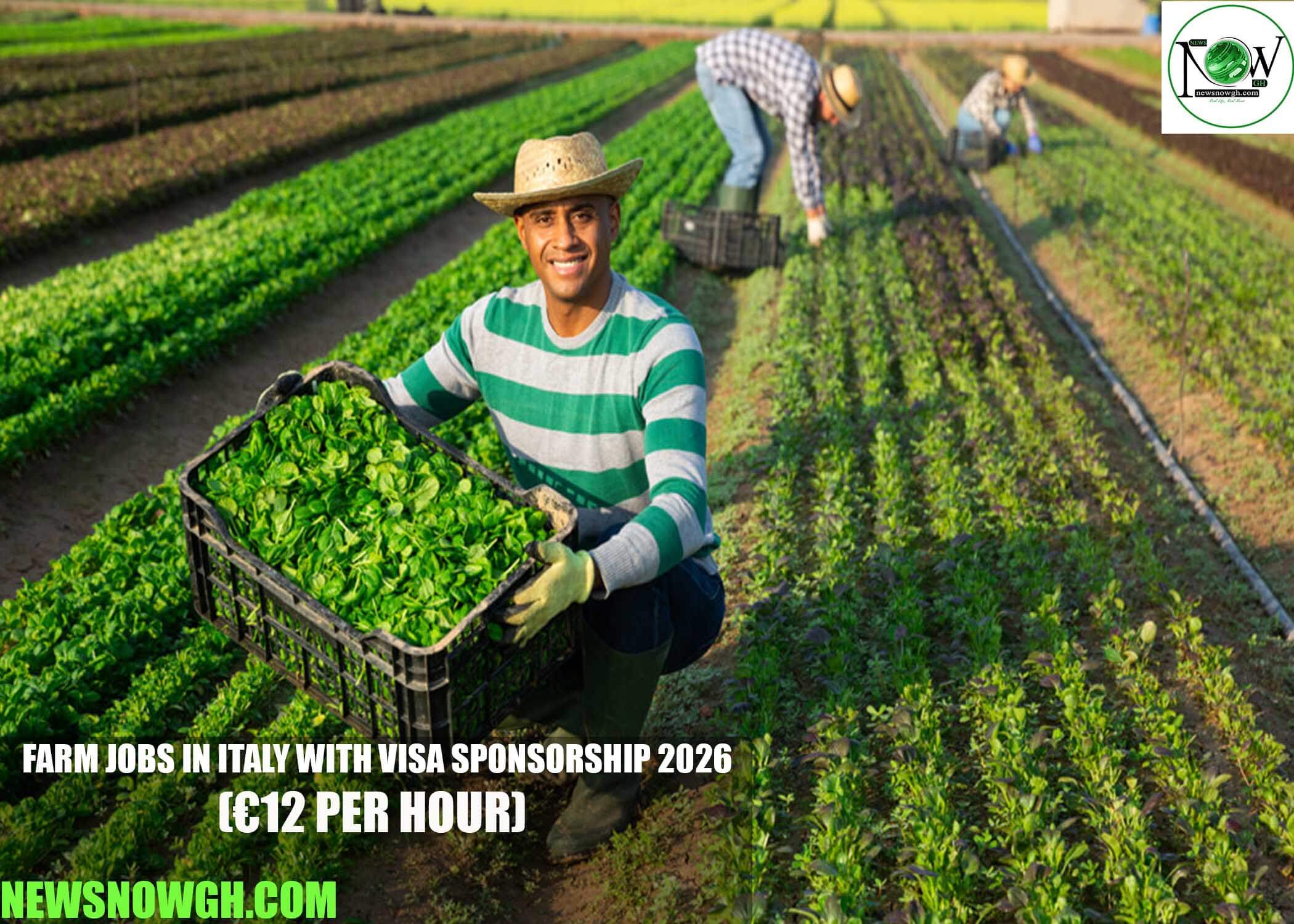 Farm Jobs in Italy with Visa Sponsorship 2026