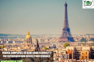 France Simplifies EU Blue Card Eligibility for Experienced Non-Degree Professionals