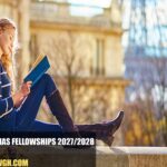 France FIAS Fellowships