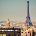 France FIAS Fellowships