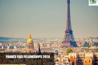 France FIAS Fellowships