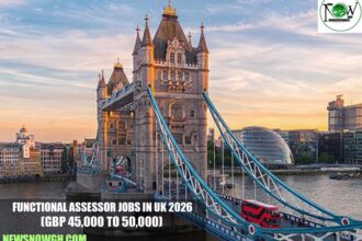 Functional Assessor Jobs in UK 2026