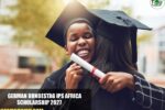 German Bundestag IPS Africa Scholarship