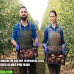 Harvester Jobs in the USA for Foreigners 2026