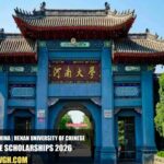 Henan University of Chinese Medicine Scholarship