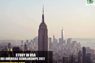 IBS Americas Scholarships