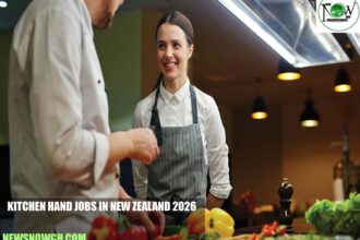 Kitchen Hand Jobs in New Zealand 2026