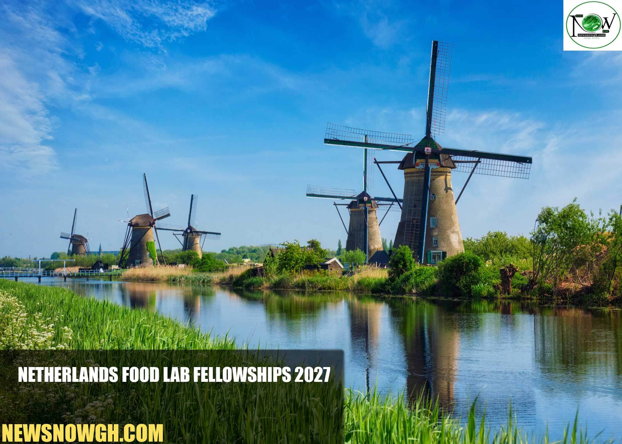 Netherlands Food Lab Fellowships