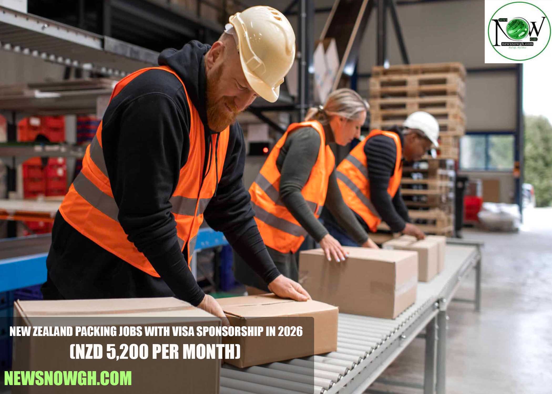 New Zealand Packing Jobs with Visa Sponsorship in 2026
