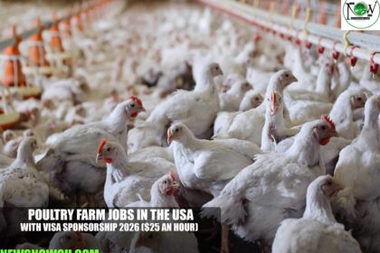Poultry Farm Jobs in the USA