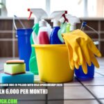 Public Places Cleaner Jobs in Poland 2026