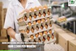 Qatar Egg Packing Jobs with Visa Sponsorship 2026