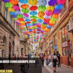 Romania ARICE Scholarships