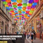 Romania Foreign Researchers Fellowships