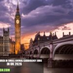 Senior Lecturer in Small Animal Cardiology Jobs in UK 2026