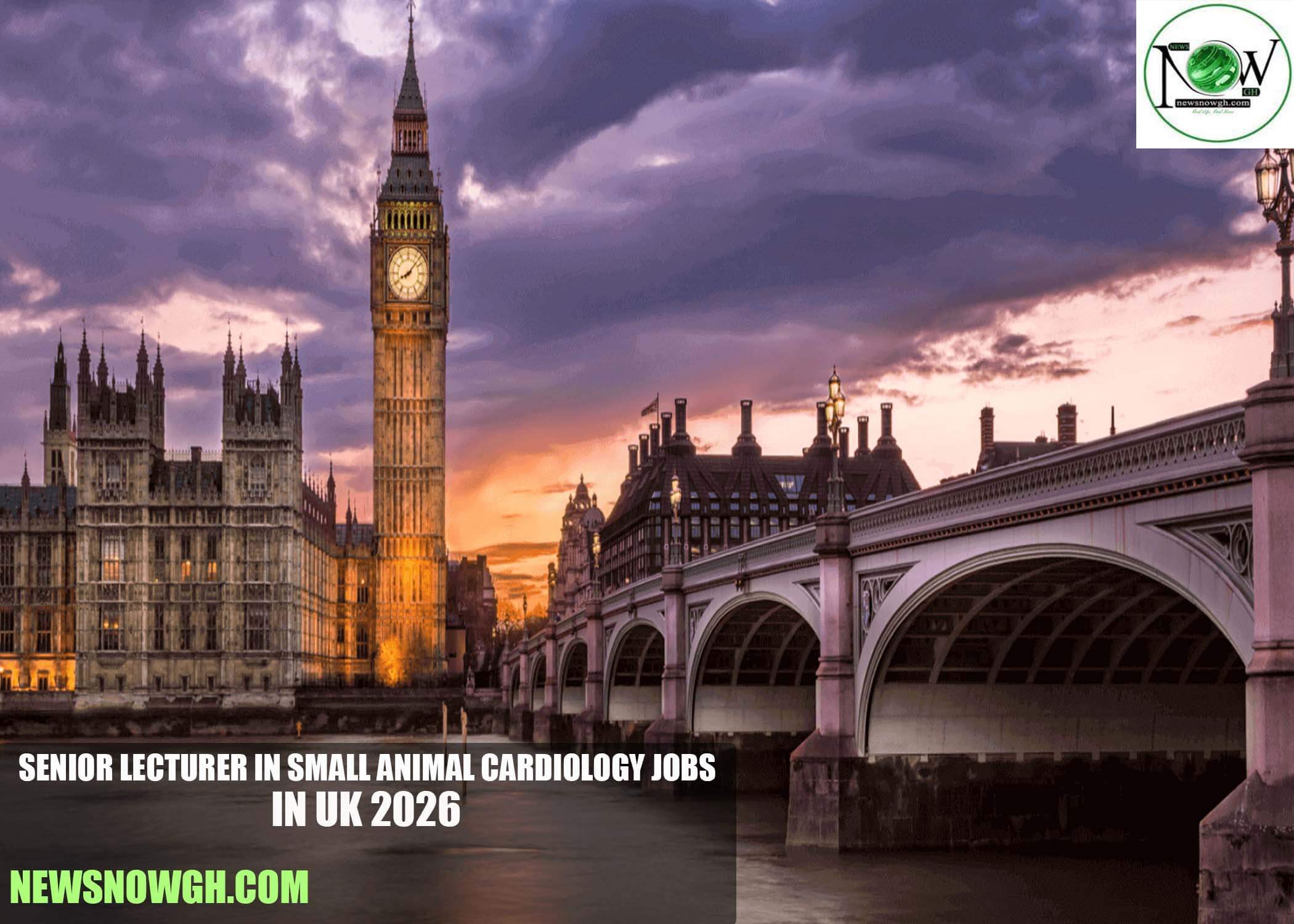 Senior Lecturer in Small Animal Cardiology Jobs in UK 2026
