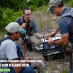 Senior Terrestrial Ecologist/Herpetologist Jobs in New Zealand 2026