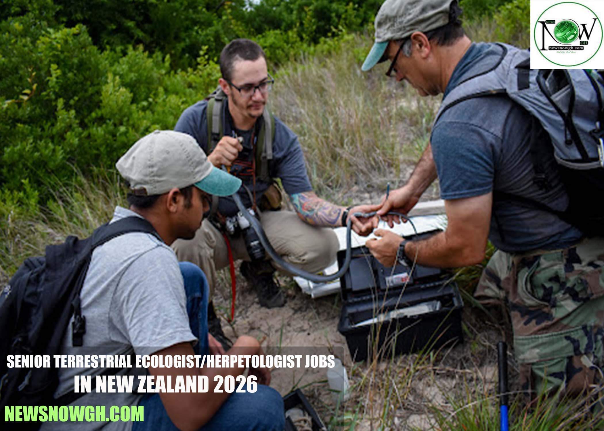 Senior Terrestrial Ecologist/Herpetologist Jobs in New Zealand 2026