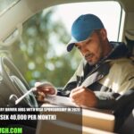 Sweden Delivery Driver Jobs with Visa Sponsorship
