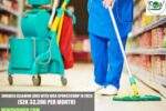Swedish Cleaning Jobs with Visa Sponsorship in 2026