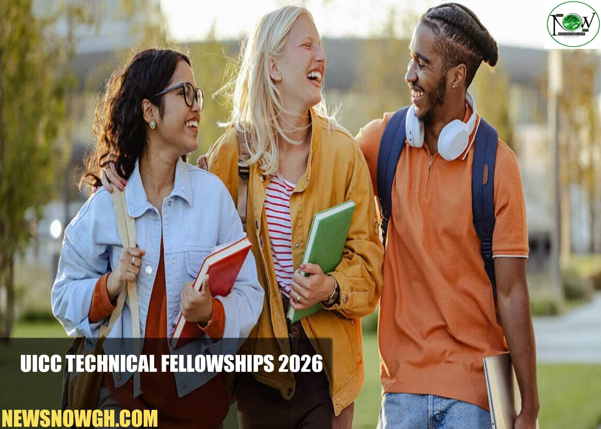 UICC Technical Fellowships