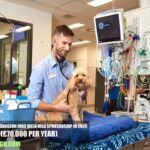 UK Veterinary Surgeon Jobs with Visa Sponsorship in 2026