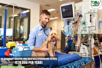 UK Veterinary Surgeon Jobs with Visa Sponsorship in 2026