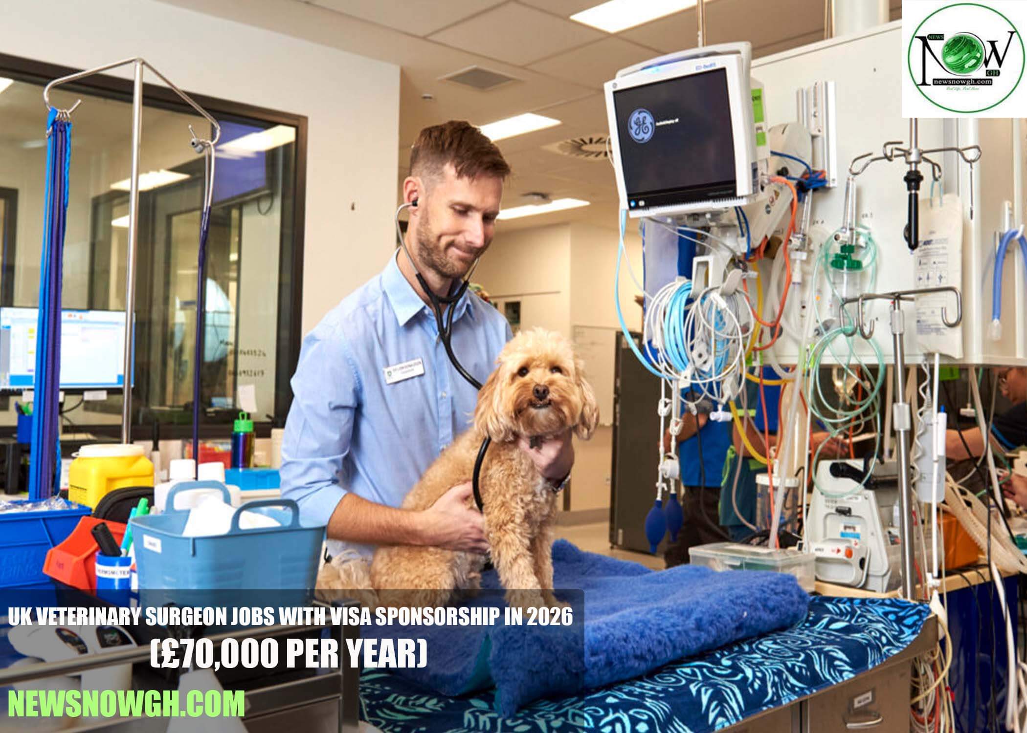 UK Veterinary Surgeon Jobs with Visa Sponsorship in 2026