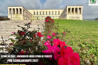 Università Degli Studi di Trieste PhD Scholarships