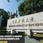 University of Hongkong Global South Fellowships