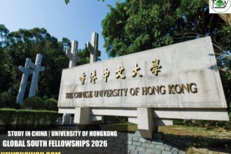 University of Hongkong Global South Fellowships