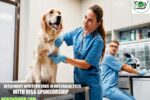 Veterinary Director Jobs in Australia 2026 with Visa Sponsorship