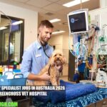 Veterinary Specialist Jobs in Australia 2026 | Greencross Vet Hospital