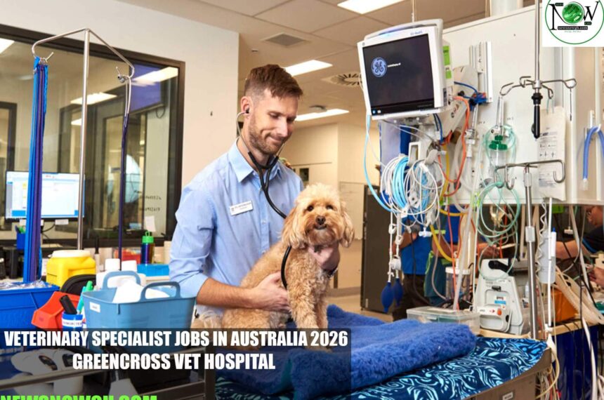Veterinary Specialist Jobs in Australia 2026 | Greencross Vet Hospital