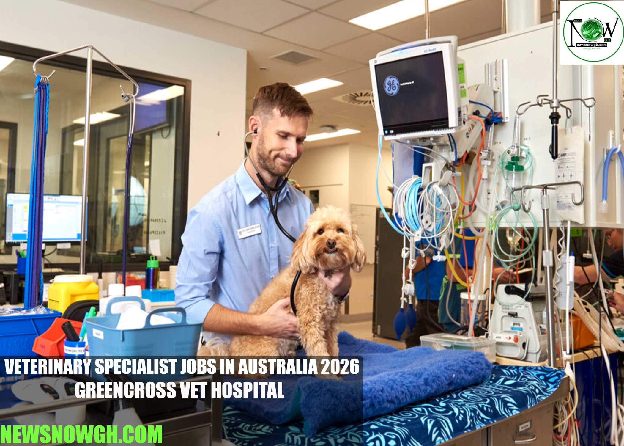 Veterinary Specialist Jobs in Australia 2026 | Greencross Vet Hospital