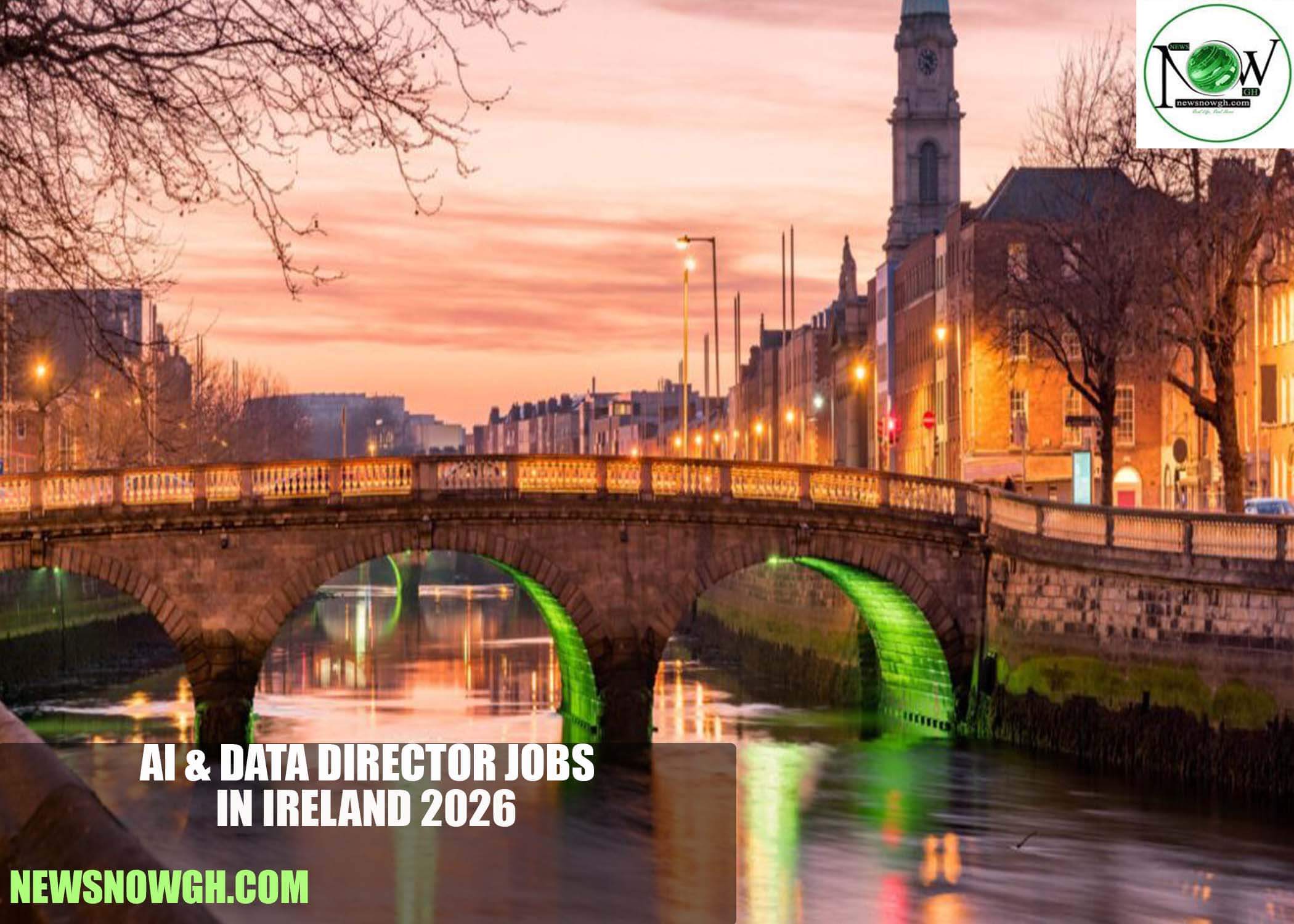 AI & Data Director Jobs in Ireland 2026