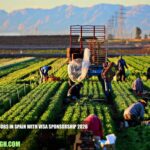 Agriculture Jobs in Spain with Visa Sponsorship 2026
