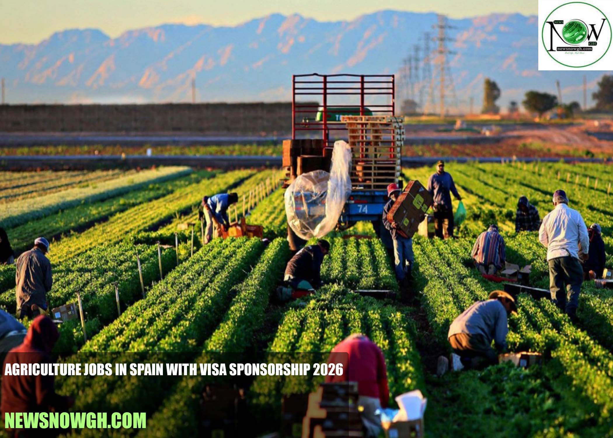 Agriculture Jobs in Spain with Visa Sponsorship 2026