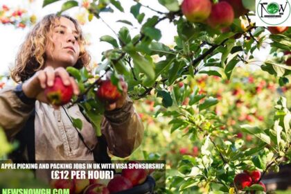 Apple Picking and Packing Jobs in UK With Visa Sponsorship