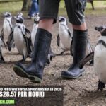 Australia Zoo Jobs with Visa Sponsorship in 2026