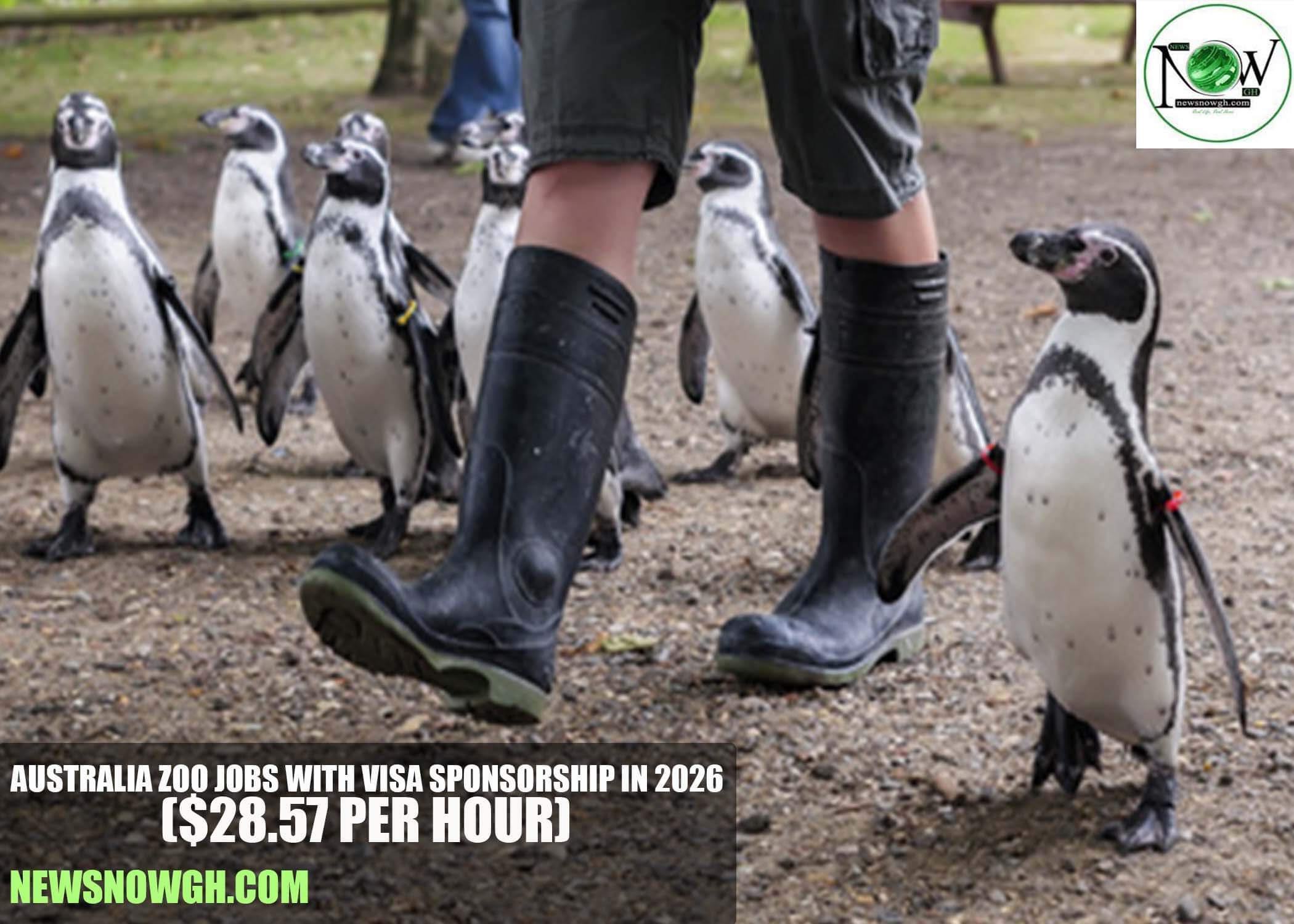 Australia Zoo Jobs with Visa Sponsorship in 2026