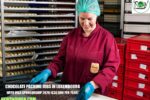 Chocolate Packing Jobs in Luxembourg with Visa Sponsorship
