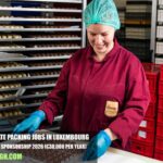 Chocolate Packing Jobs in Luxembourg with Visa Sponsorship