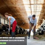 Dairy Farm Worker Jobs in Luxembourg with Visa Sponsorship